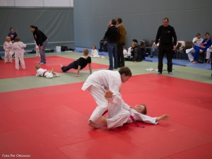 2013 03 05 - 065 Per Ottosson